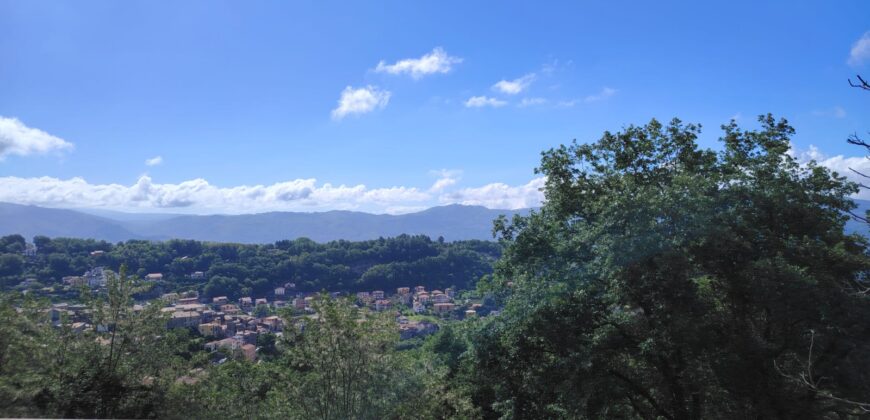 Grimaldi (CS) – Contrada Santa Caterina